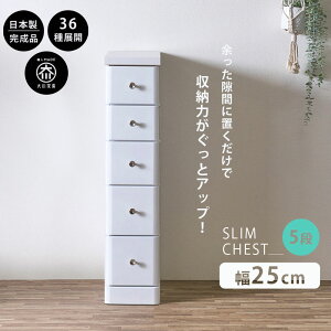 10%offN[|zz X`FXg Ԏ[ S36TCY i 25 5i 25cm { ^ `FXg  o ^X  IV Vv zCg  ׂ 102.5 s40 