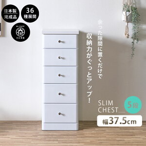 5%offN[|zz X`FXg Ԏ[ S36TCY i 37.5 5i 37.5cm { ^ `FXg ԃ`FXg o ^X  IV Vv zCg  ׂ 102.5
