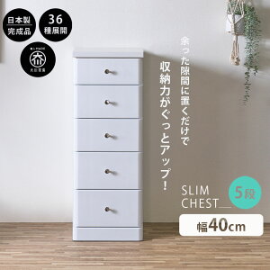 5%offN[|zz X`FXg Ԏ[ S36TCY i 40 5i 40cm { ^ `FXg ԃ`FXg o ^X  IV Vv zCg  ׂ 102.5s4