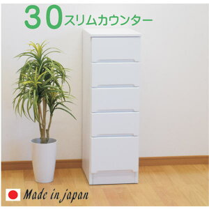 5%offN[|zz X XJE^[ ܎[ h[[ X[ 30 30cm 5i Ԏ[  IV ԉƋ ܉Ƌ [ ؐ o g { Vv