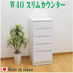 X XJE^[ ܎[ h[[ X[ 40 40cm 5i Ԏ[  IV ԉƋ ܉Ƌ [ ؐ o g { Vv _ zCg 