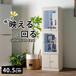 [ RNVP[X  ObY[ ObY  LEDCg KXI ؖڒ RNV{[h ] I f 킢 Ƌ RNV [ rO