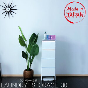 111%offN[| h[bN  IV h[`FXg Tj^[ 30 30cm [ `FXg Eߏ ʏ Ԏ[ Ƌ Y i i` uE zC