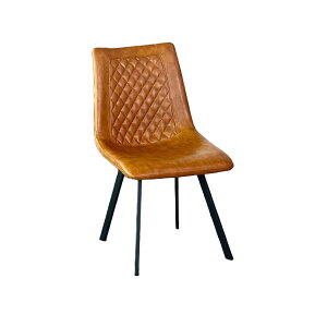 `FA _CjO`FA 2rZbg ֎q  IV LeBO _ Be[W C_XgA ubNX^C 46cm ʍ43cm PUn uE O[ H r