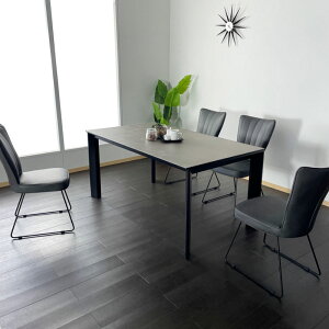 _CjOe[uZbg Z~bNe[u 4l|  IV _CjOZbg  _CjOe[u5_Zbg 160cm 4lp _ _CjO _CjO[ ƋM