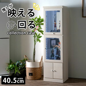 RNVP[X  ObY[ ObY [  LEDCg KXI ؖڒ RNV{[h ] I f 킢 Ƌ RNV [ rO