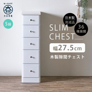 5%offN[|zz Ԏ[ X`FXg i 27.5 4i 27.5cm { ^ `FXg nC`FXg o ^X  IV Vv zCg  ׂ 102.5 s40 