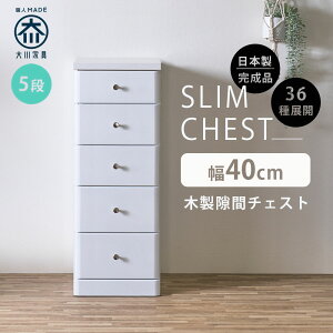 5%offN[|zz Ԏ[ X`FXg S36TCY i 40 5i 40cm { ^ `FXg ԃ`FXg o ^X  IV Vv zCg  ׂ 102.5s4
