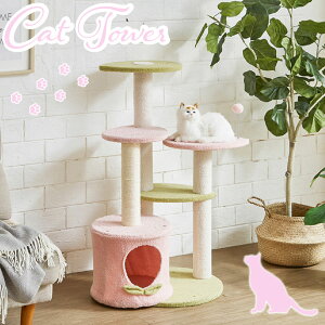 111%offN[| Lbg^[ ybg L RpNg 킢  IV t@ubN z sN  ƋMatsumoto  AEgbgi