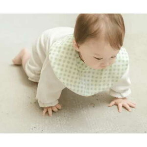 y[։zMK`FbÑX^C O[ / Lien de famille ht@~[ X^C 悾ꂩ  pC z oYj 蕨 v[g Mtg