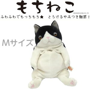 ˂M n`yqE_zyʂ݁zq _/˂ n`/_/_/˂