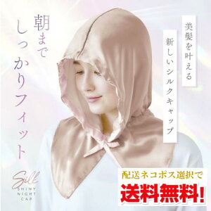 ylR|XőzVNVCj[iCgLbv x[ / iCgLbv wALbv VN100  AQ̊EC΍ ѐPA NNp RWbg