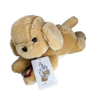 y1_[\zyʂ݁zߋg x[W M / ʂ { IG^g[C 2023NVi