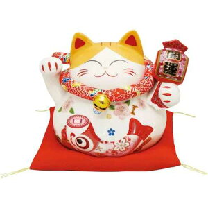 yzJ^ƏL   / L u N N v[g Mtg 蕨 ˂ ˂G