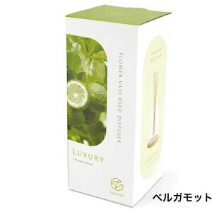 TAx t[x[X [hfBt[U[ / Thaleia Veil A}ObY tOX [tOX XeBbN _ VR  IC tXR^ KX  t[x[X 