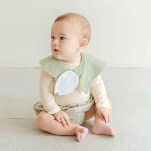 nO[ X^C `[bv zCg / Lien de famille ht@~[ X^C 悾ꂩ  pC z 2wd  `[bv Mtg {bNX oYj Mtg