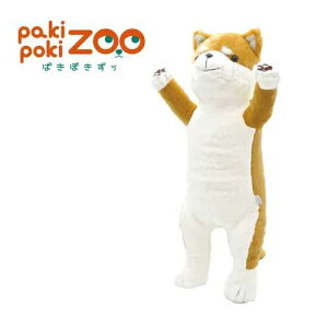 yʂ݁zςۂ |[WOʂ VoCk / Č 葫 K Sg  |[Y |[WO ʂB gCl` Aj}