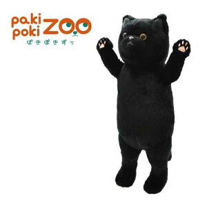 yʂ݁zςۂ |[WOʂ NlR / L ˂ L ˂G 葫 K Sg  |[Y |[WO ʂB gCl` Aj}