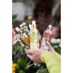 lC`[A} ZeBbh{fB~Xg / Rudy fB NatureArome Series lC`[A}V[Y {fB~Xg  C^A {fBPA oXACe oX[ pE_[[ 