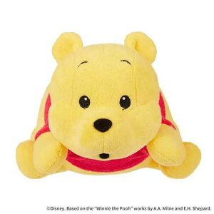 yʂ݁zfBYj[ ʂ v[ / DISNEY fBYj[ ܂̃v[ LN^[