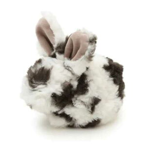 `[tAj}|[` ~bNXETM / |[` RX CN   [ 킢  ETM`[t