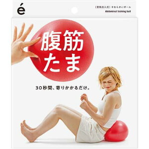 SAKURAI erugam ���؂��� ���b�h/�g���[�j���O/�X�g���b�`/�{�f�B�P�A/����������