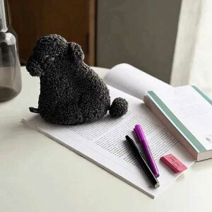 y[։z`~[|[` hbO `R[ / |[` RX|[` σ|[`  [ Aj}  ӂӂ ӂ 蕨 Mtg v[g