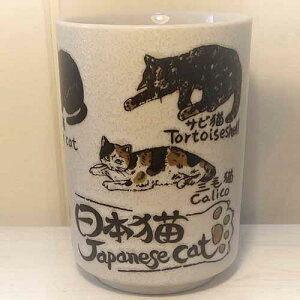 YAMATOi {L/i/i///v/eʂՂ/Z/LG