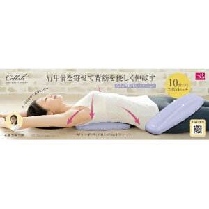 CELLSH w؃Xgb`NbV/ZV/b/w/p/Xgb`/bNX