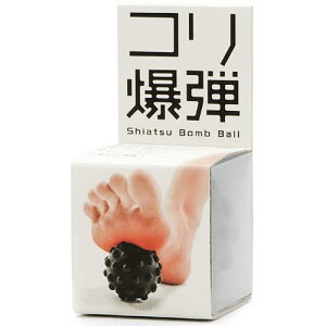 SAKURAI erugam �w���{�[�� �R�����e
