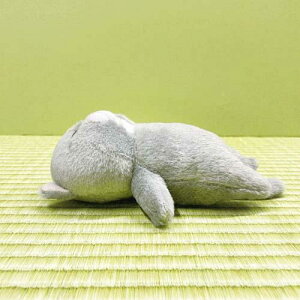 ڂ݂Ȃ˂ ڂ/ڂ˂/ʂ/lR/L/˂G