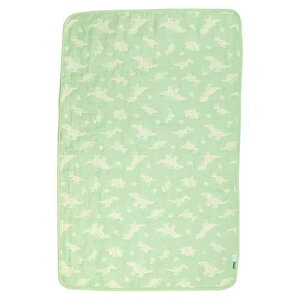 uPbg fBmTEX / 5dK[[ ێ ې 100 xr[ V Ԃ  _Ci\[