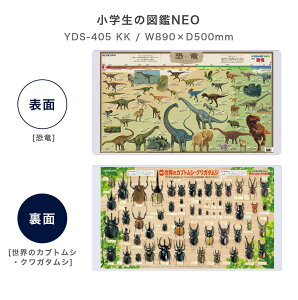 fXN}bg  ̎q j̎q 89cm wK 킢 LN^[}bg |P sJ`E  bN} N~ fRv IA XzCg  F n} Jug