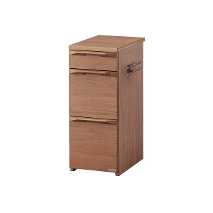 yP10{eN[|zzIzLrlbg ؐ RCY~ t@X 30cm X Vv  킢 ؐ ؐ hZnK[  i` Vv uh FL