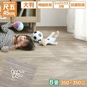 WCg}bg 8 10mm ؖ ؖڒ 唻  tA}bg vC}bg O t[O h h R g[Ή t[Jbg ` 킢 352 uFv uˁF5v