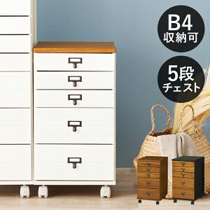 ރP[X LX^[t ޒI B4 ރ`FXg ގ[ 5i ؐ o ItBX[ ֎[ TCh`FXgTChS 33cm 60cm VR  ubN uE i` 