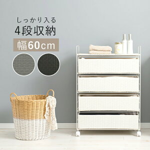 h[`FXg 60cm 4i LX^[t h[S h[ X^Cv X`[t[ Ԏ[ ʏ[ h[[ @ hf _[NuE O