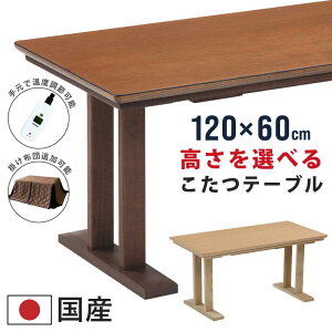 _CjOe[u  Y 120×60cm i˔ ˔ 茳Rg[[ VR rO m Ƌ ` R^c 600WnQq[^[ ؐe[u Z