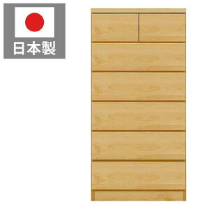 `FXg i Y { 60cm 6i nC`FXg rO`FXg m^X  \y ߗގ[ i`eCXg ؖڒ CguE