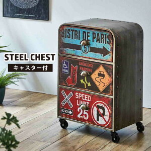 `FXg LX^[t AJg 46cm 5i X`[`FXg TCh`FXg ^`FXg rO`FXg  uL Be[W re[W AeB[N