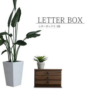 ^[P[X 38cm 3i EH[ibg C ˔ ؖ uE fXN i ؐ ޒI ^[{bNX A4  rO[ _ IV g AeB[N [BOX 