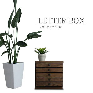 ^[P[X 38cm 5i EH[ibg C ˔ ؖ uE fXN i ؐ ޒI ^[{bNX A4  rO[ _ IV g AeB[N [BOX 