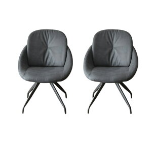 `FÂݓF2rZbg ]`FA _   H֎qZbg x[W ubN _CjO`FA `FA k