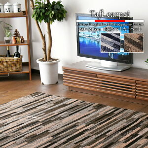 �ySS���Ԓ�P10�{�z �^�t�g�J�[�y�b�g ���O�}�b�g ������� �k�� ���B���e�[�W 190cm 240cm �I�[���V�[�Y�� ���g�[�Ή� �J�[�y�b�g �h�_�j ���Y ���{��