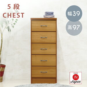 `FXg 40cm ؐ 5i  40 X AeB[N  i` k ^X ؐ _X  LbY`FXg q q [Ƌ  rO ~h `FX