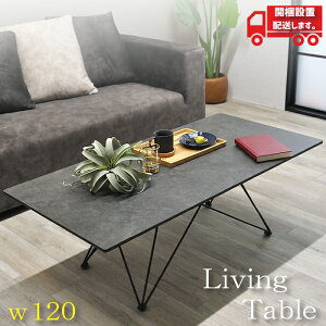 Z^[e[u Z~bN 120cm rOe[u \t@[e[u [  Z~bN rOe[u [e[u 120 d  Ă ㎿ i ACA _ m