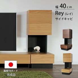 20日から5%クーポン◆キャビネット 収納 レイ 40 サイドキャビネット テレビボード テレビ台 キャビネット ローボード リビング 収納 木製 新商品