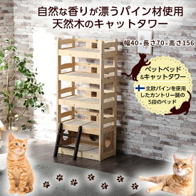 11日迄5%offクーポン◆ペットベッド キャットタワー ネコ家具 ペット家具 5段ベッド 天然木 無垢材 パイン いぬ ねこ キャット 猫タワマン 多頭飼い ペット用ベッド 猫小屋 キャットハウス 通気性 丈夫 秘密基地 ナチュラル おしゃれ シンプル 北欧 ウィリス