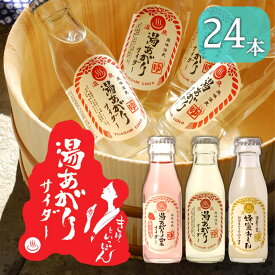 9日迄お得なクーポン◆炭酸飲料 湯あがり堂サイダー あまおう 蜂蜜れもん 95ml 24本 まとめ買い 炭酸水 炭酸 飲み物 瓶 ラムネ ご当地 地サイダー ドリンク 湯あがり堂 サイダー ギフト プレゼント 贈り物 お中元 お歳暮 友桝飲料