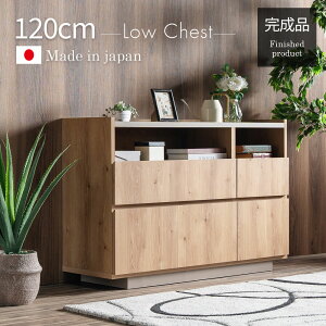 [i]+12/4 20:00` 5%OFFN[|zz `FXg rO`FXg 120 i { oCJ[  ؖڒ O[W k ؍ i` _ o 119cm I[v[ 